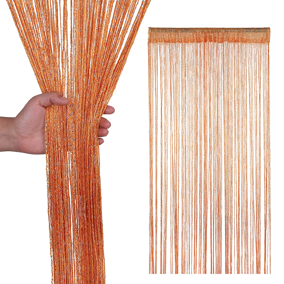 String Curtain Panel Spaghetti Tassel Curtain