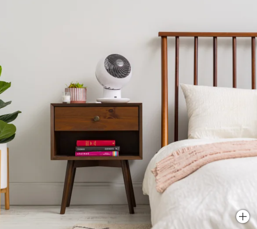 5-Speed Globe Fan
