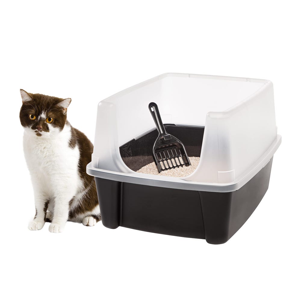 Large Cat Litter Box