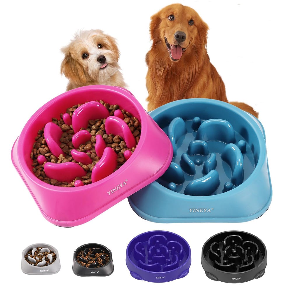 Slow Feeder Dog Bowls