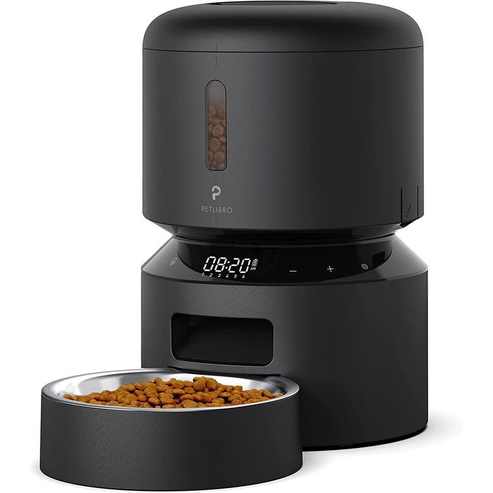 Automatic Cat Feeder