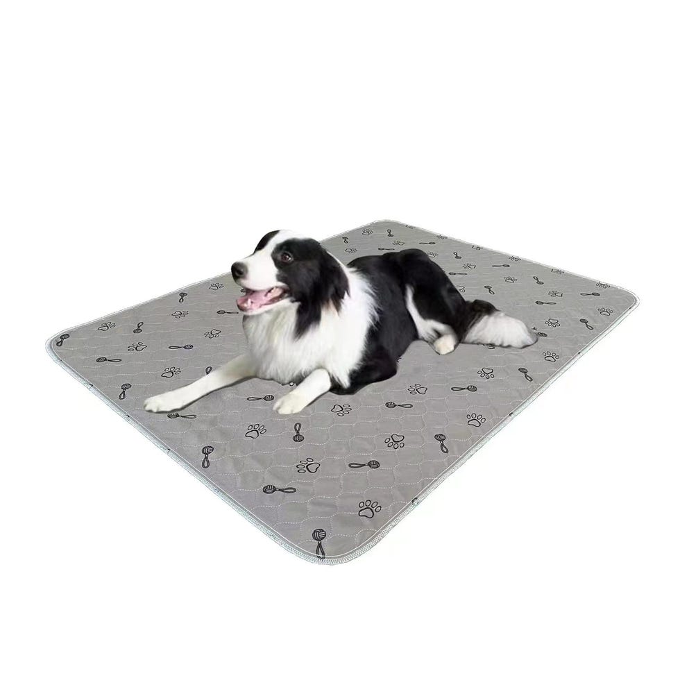 Dog Pads Washable