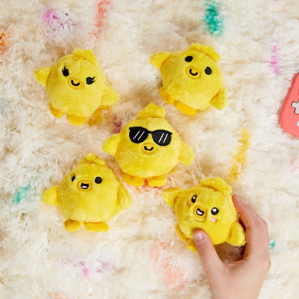 Emotional Support Chickies