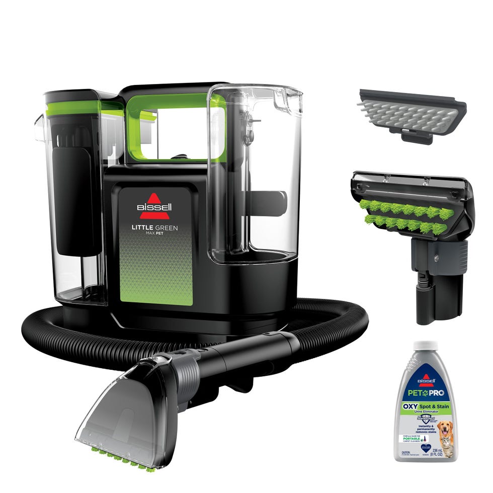 Little Green® Max Portable Carpet and Upholstery Cleaner