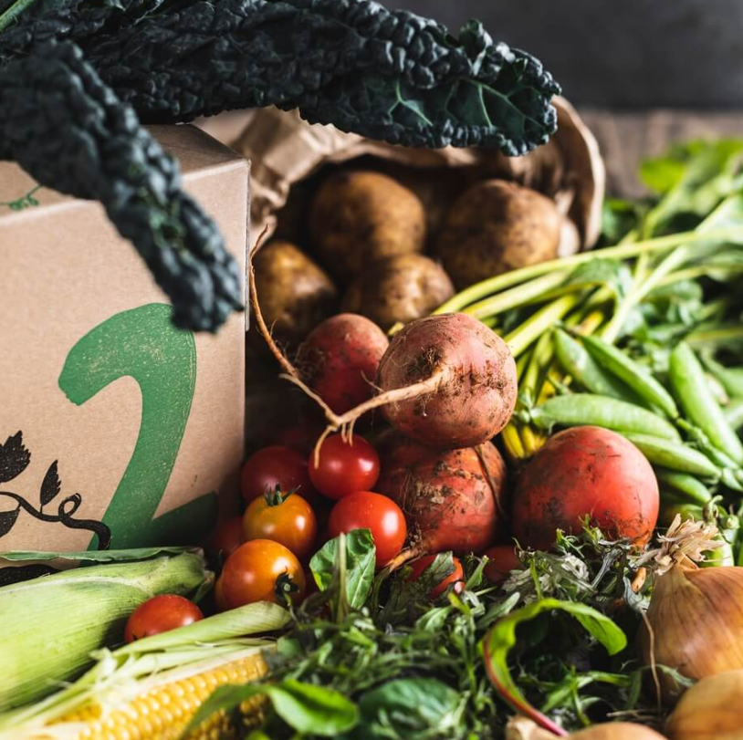Organic Seasonal Veg Box, Medium