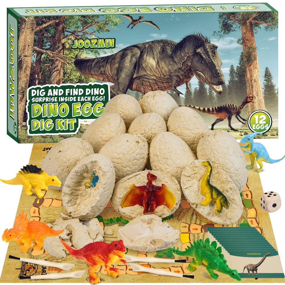Kit de exploración de dinosaurios