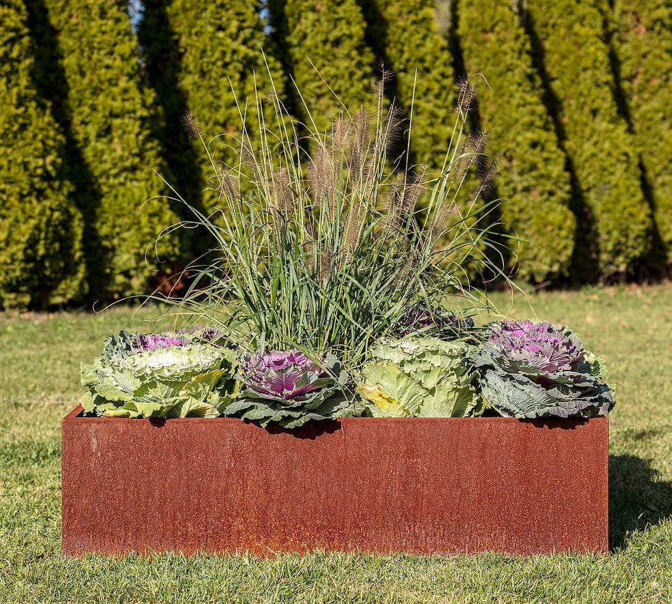 The corten steel garden bed