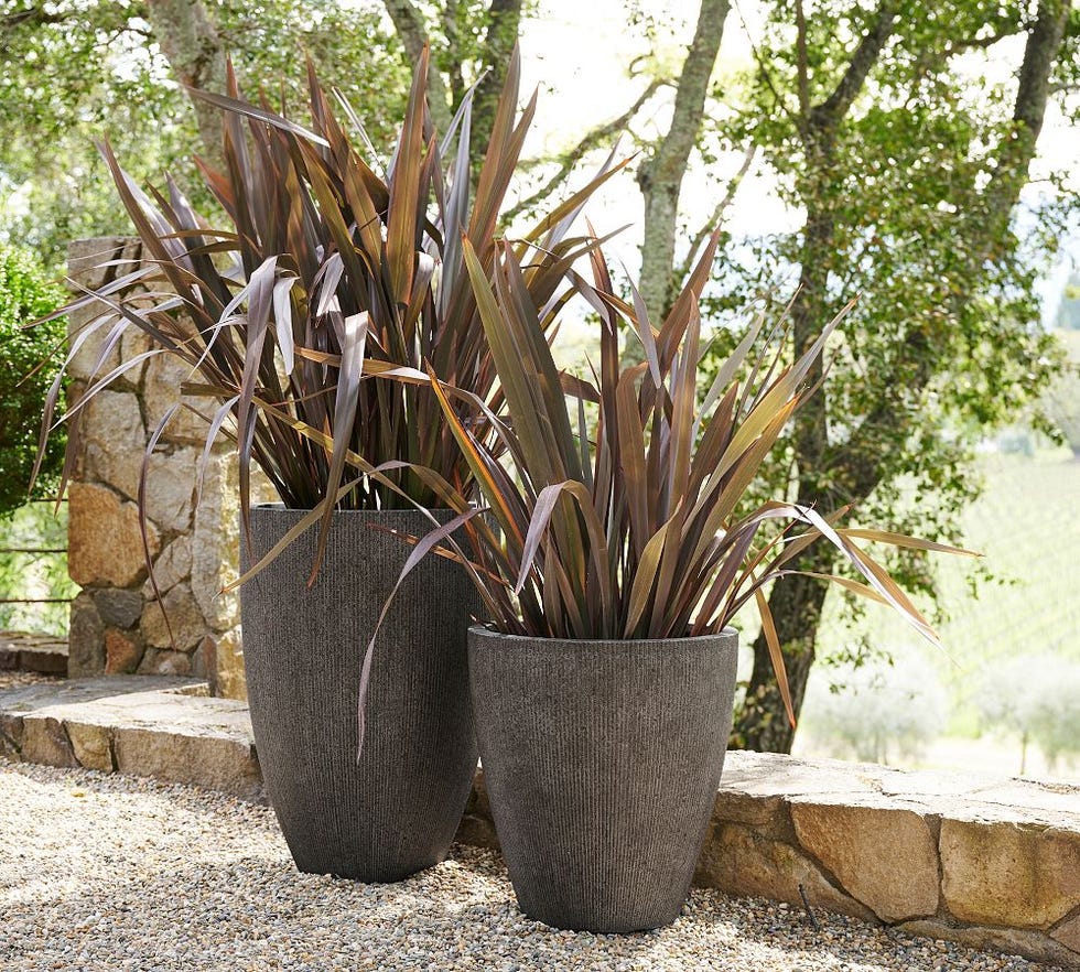 Aspen ficonstone planter