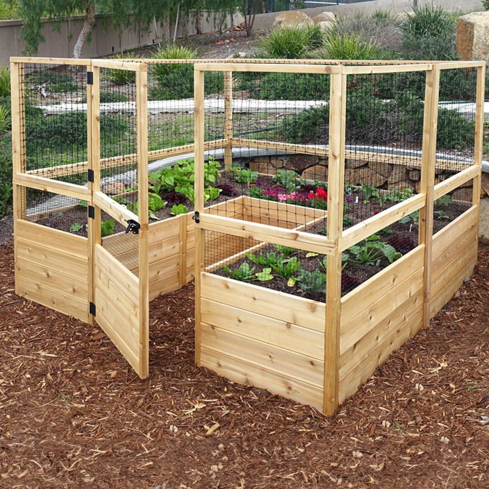 Deer proof cedar raised garden bed kit