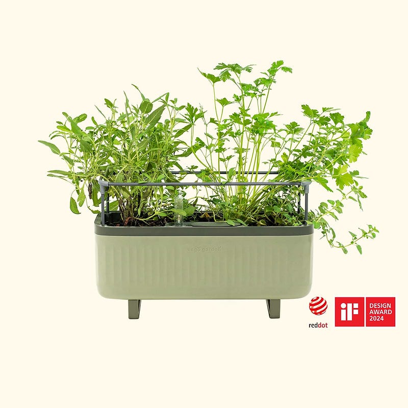 Self-Watering herb planter box with trellis