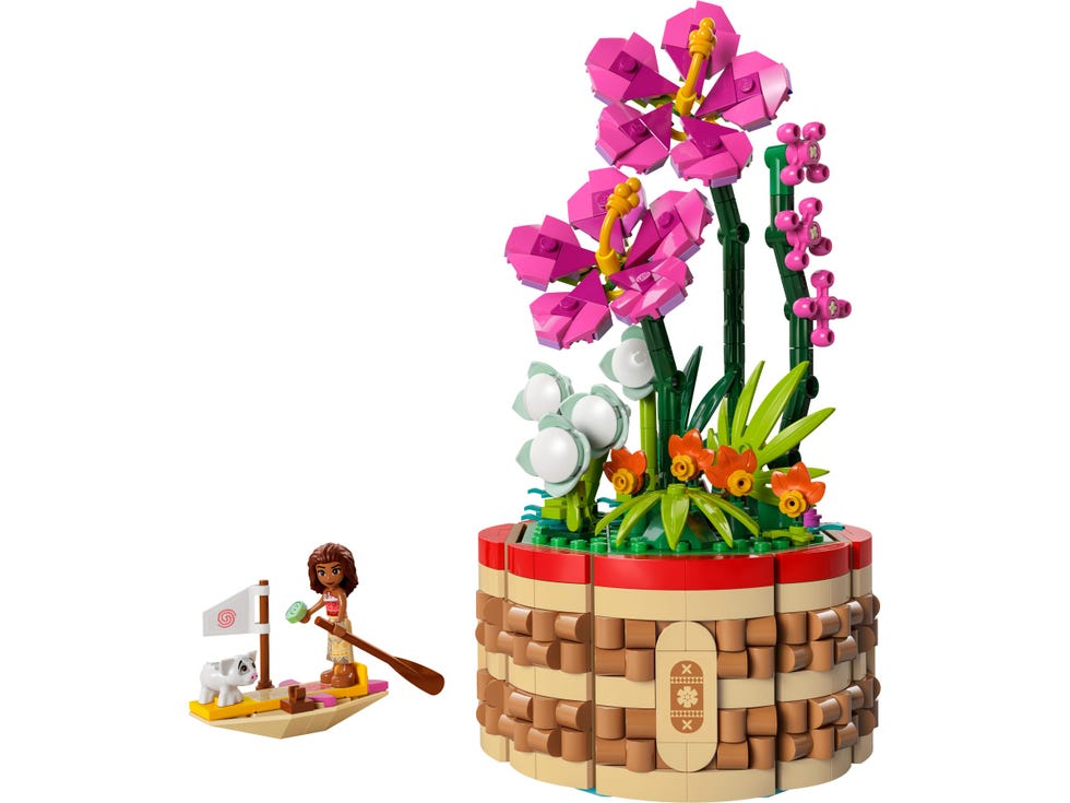 Disney Moana's Flowerpot
