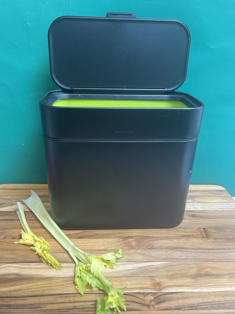 Compost Caddy