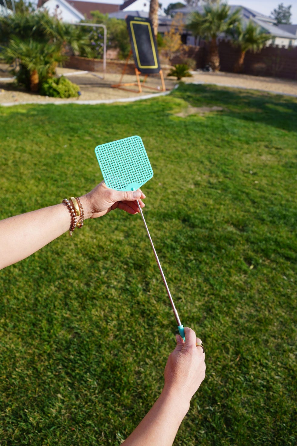 Extendable Fly Swatter