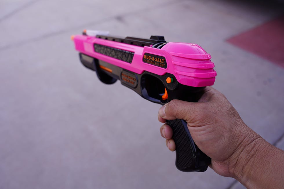 Passion Assassin 3.0