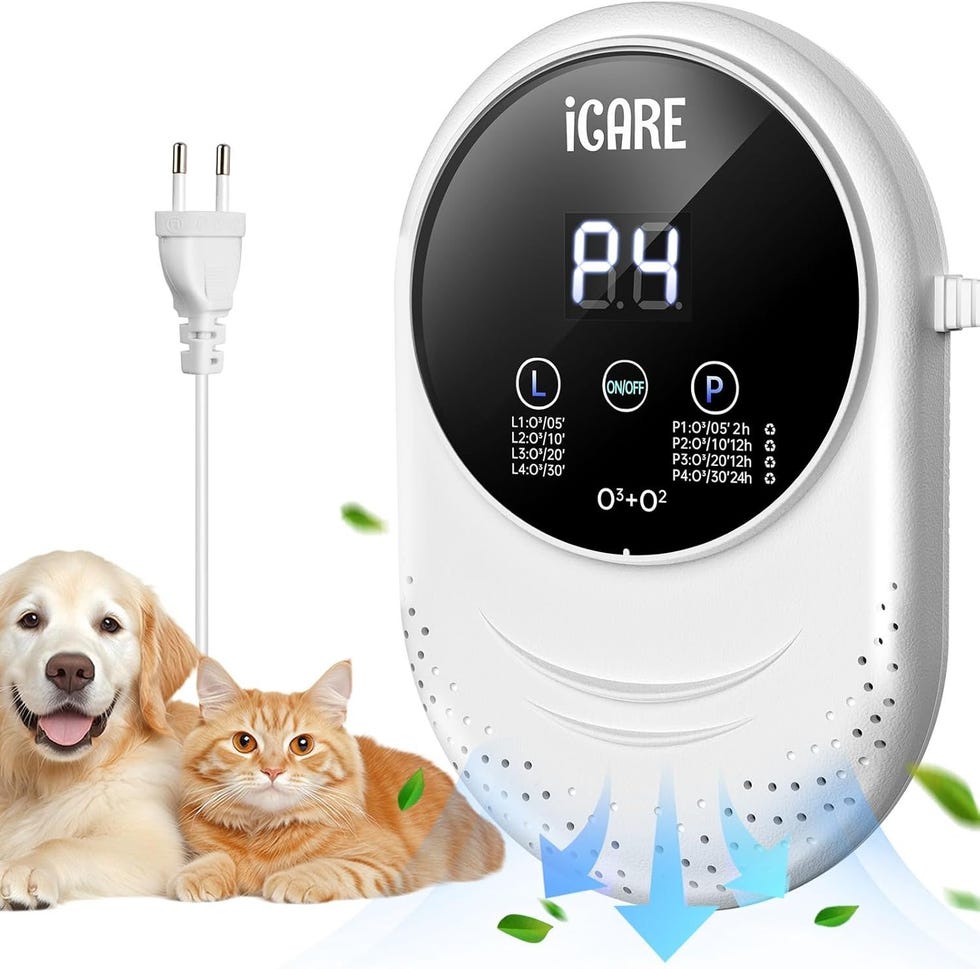 Generador de Ozono Purificador de aire