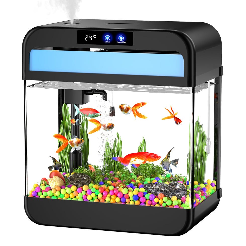 Fish Tank Aquarium 2.2 Gallon