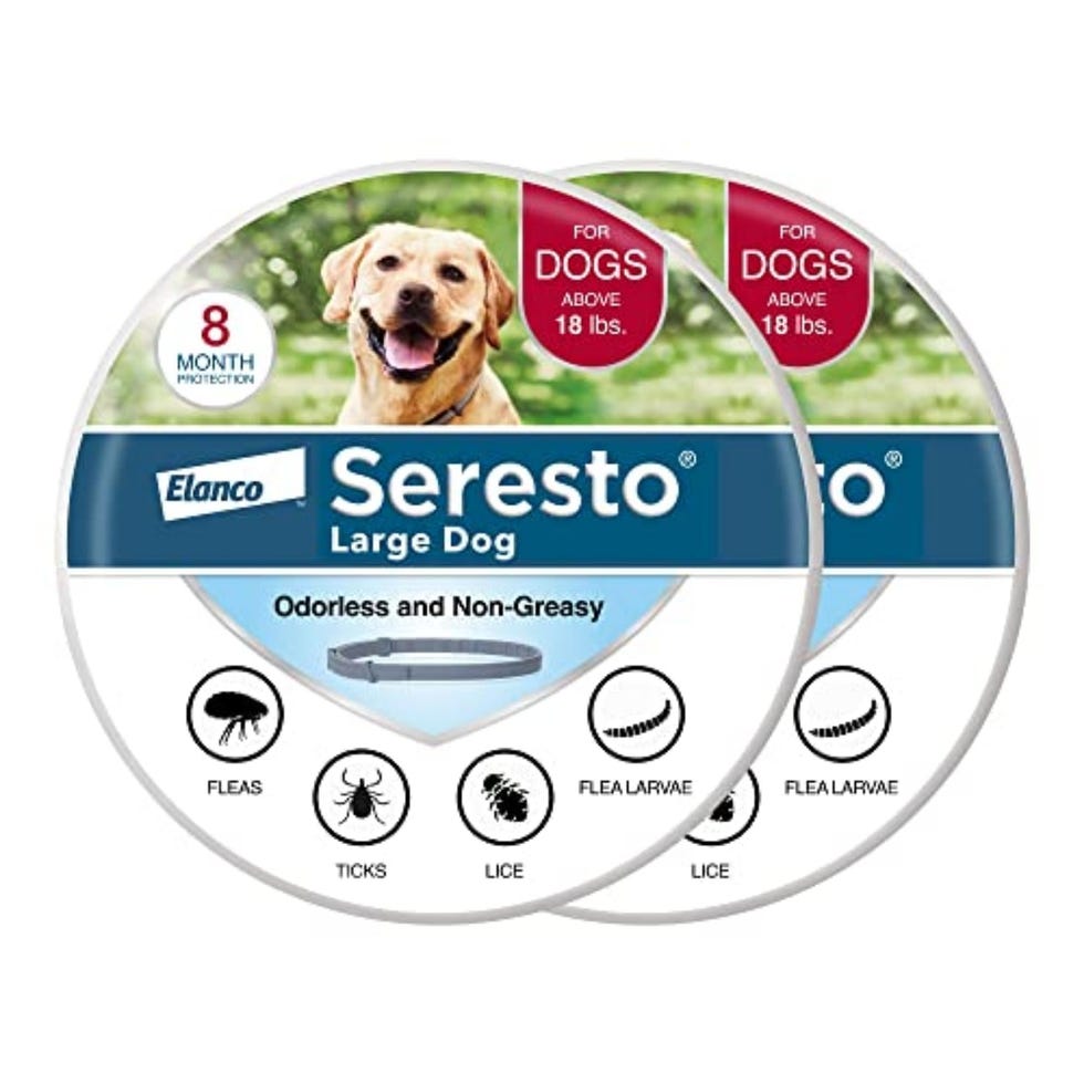 Large Dog Flea & Tick Treatment & Prevention Collar