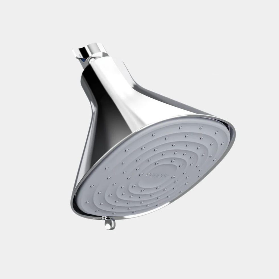 Filtered Showerhead
