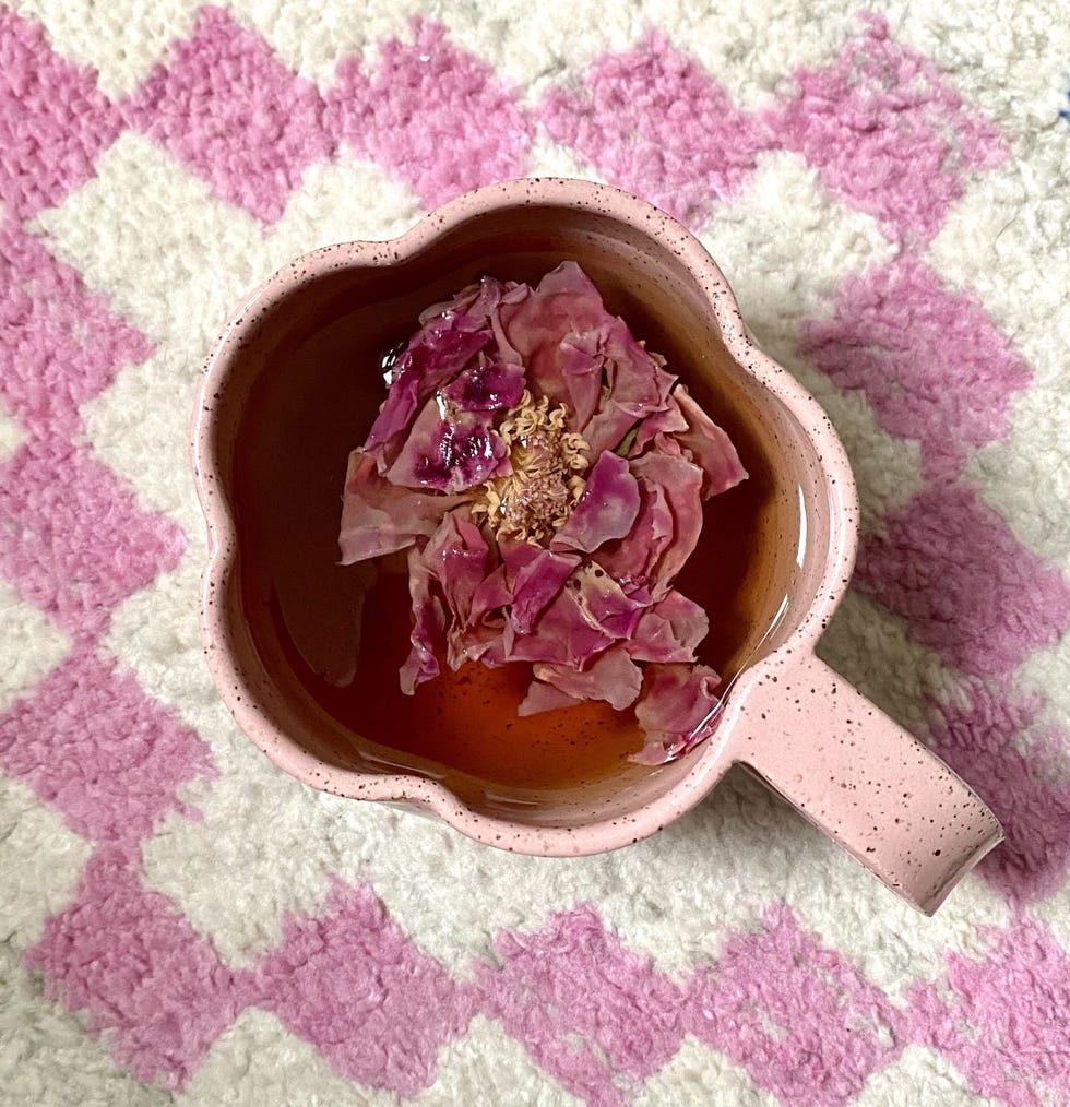 Shangri-la Rose
