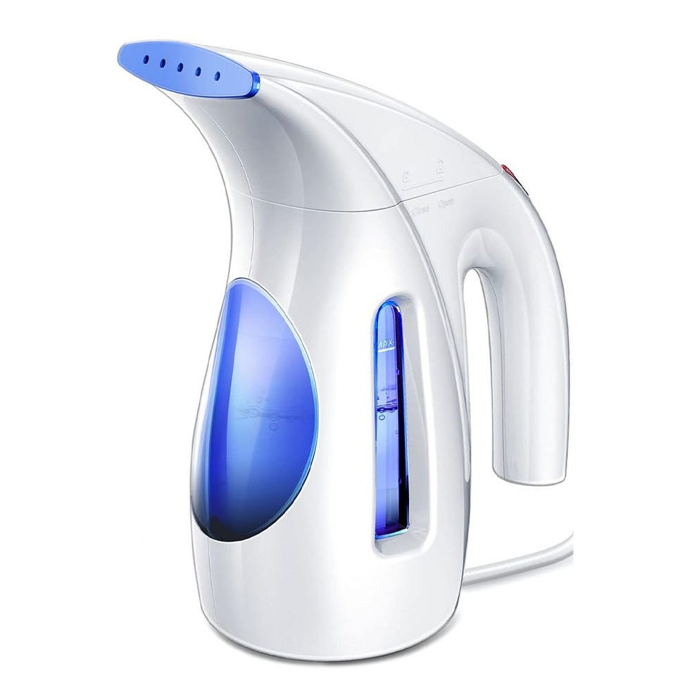 Handheld Steamer