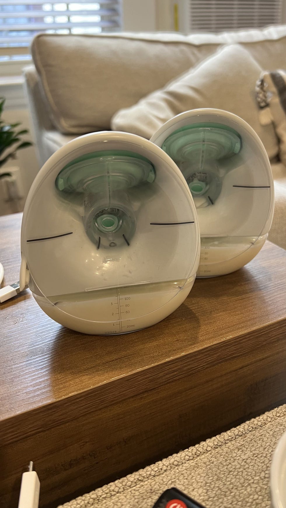 Hands-Free Breast Pump