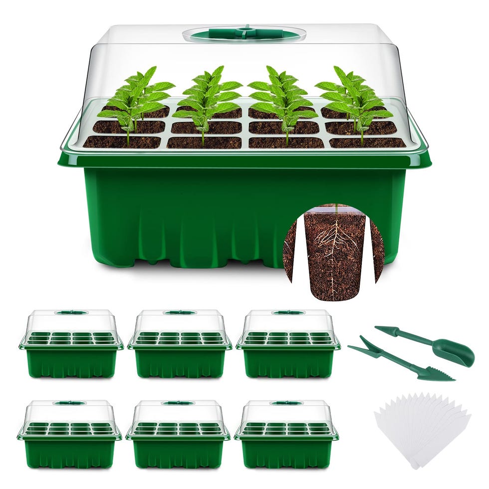 Semillero germinador con tapa