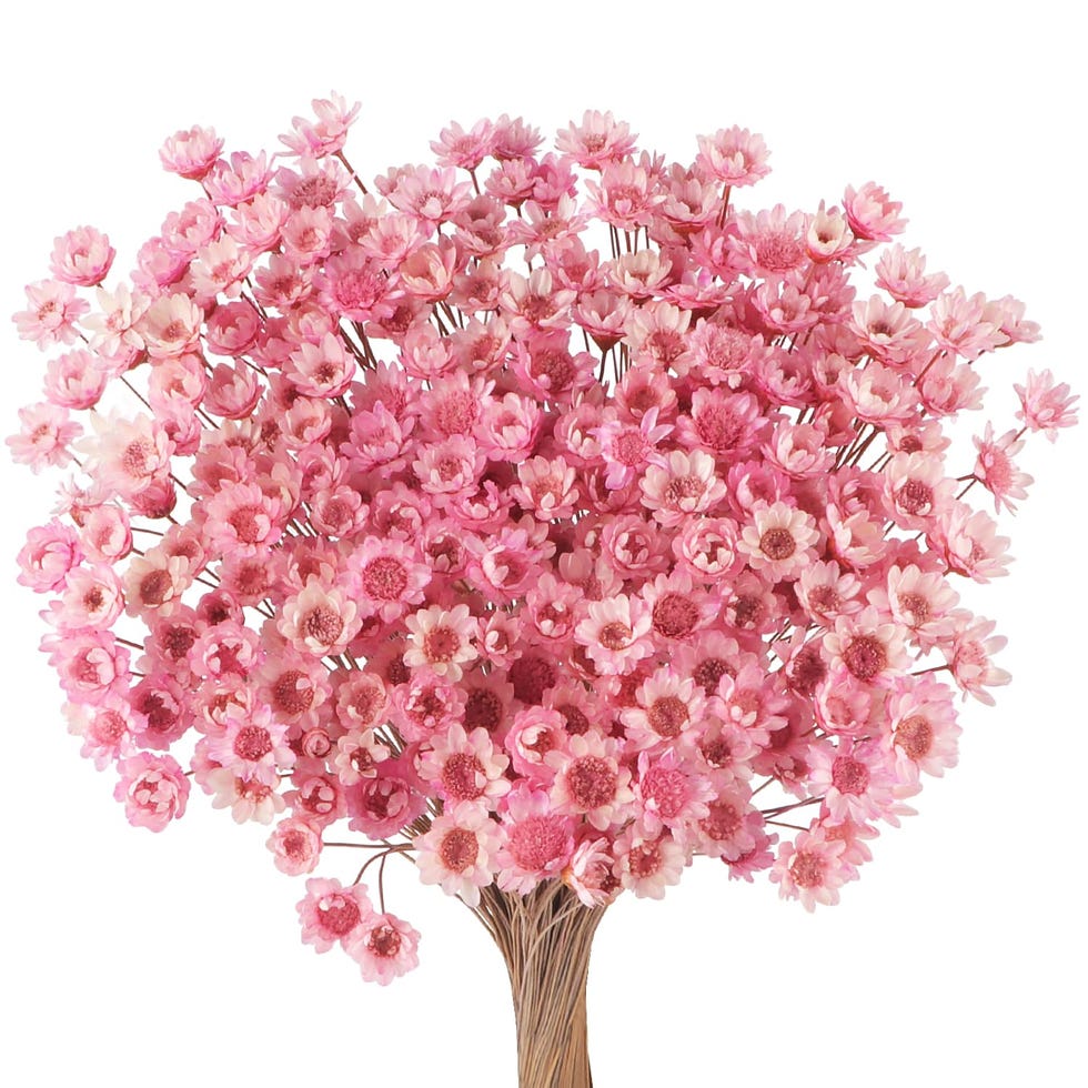 Piezas de flores secas