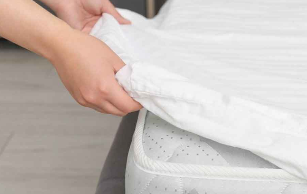 Premium Waterproof Mattress Protector