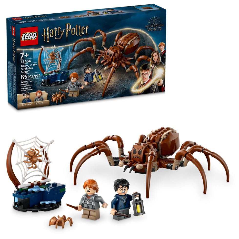 Harry Potter Aragog in The Forbidden Forest