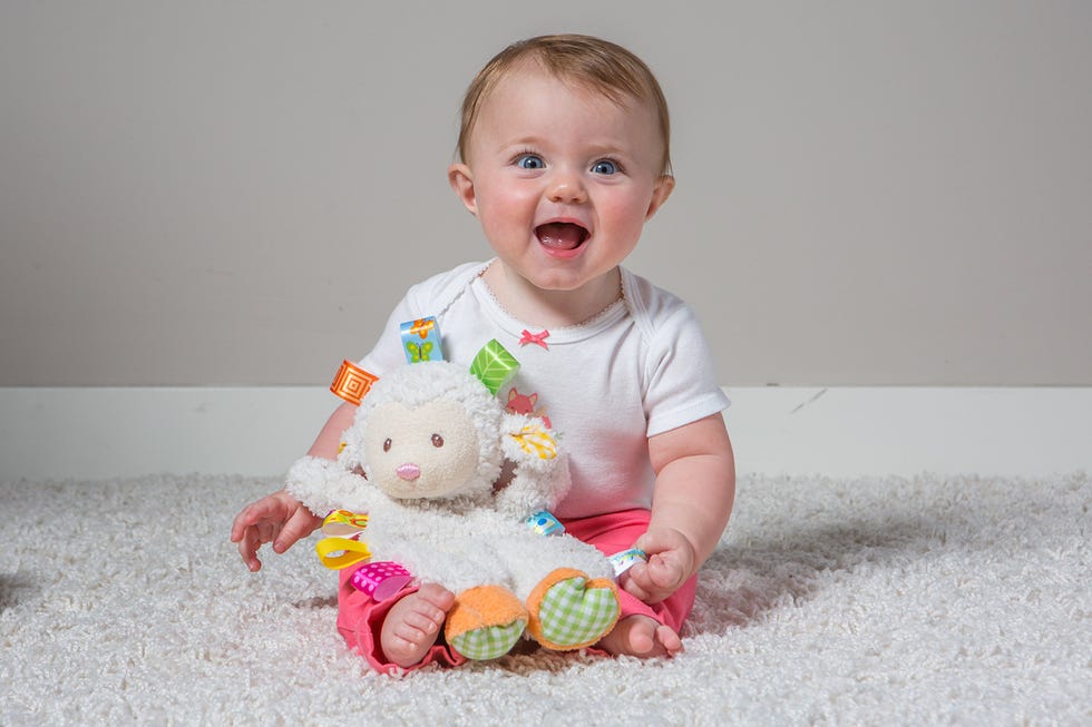 Taggies Sherbet Lamb Lovey Toy