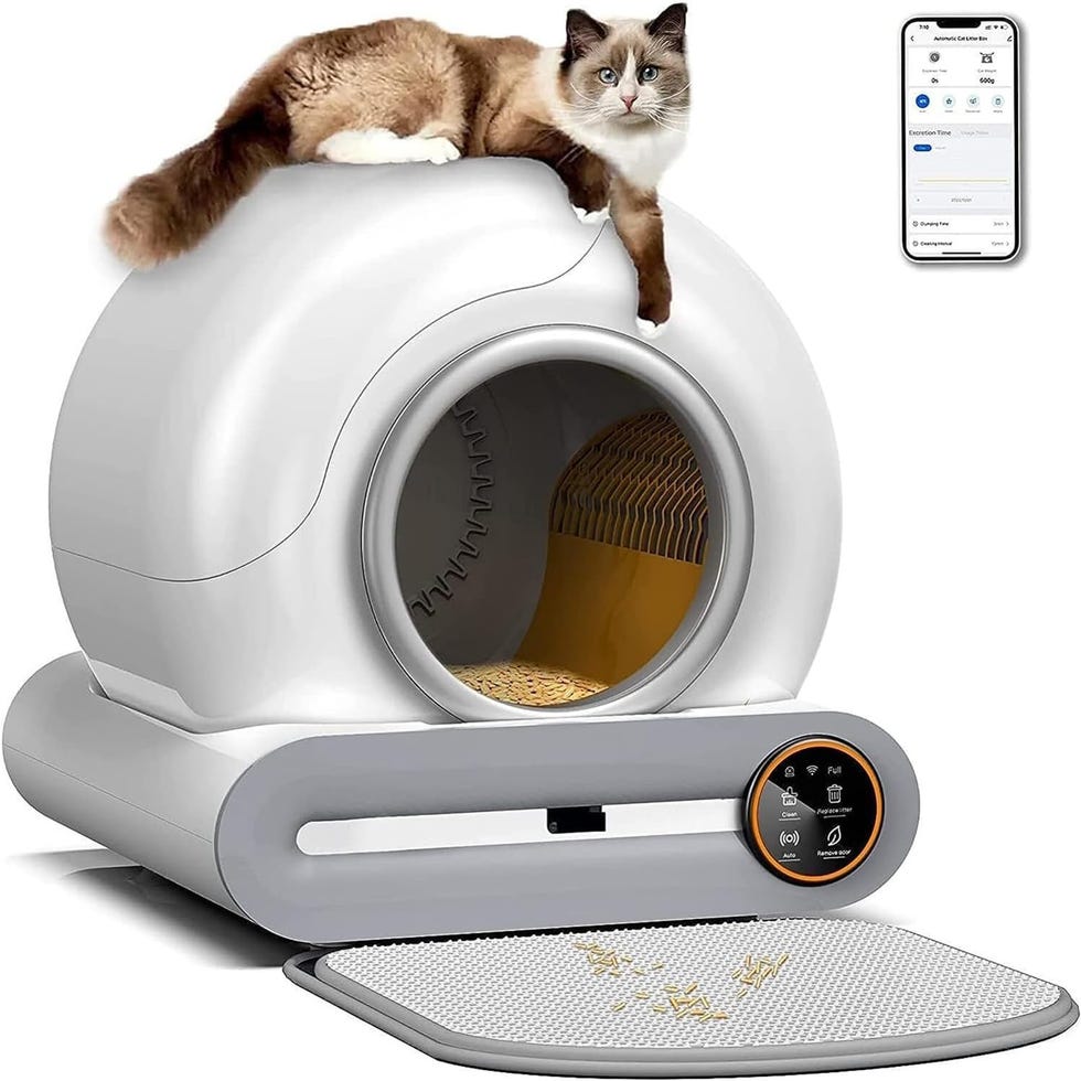 Arenero para gatos con limpieza automática