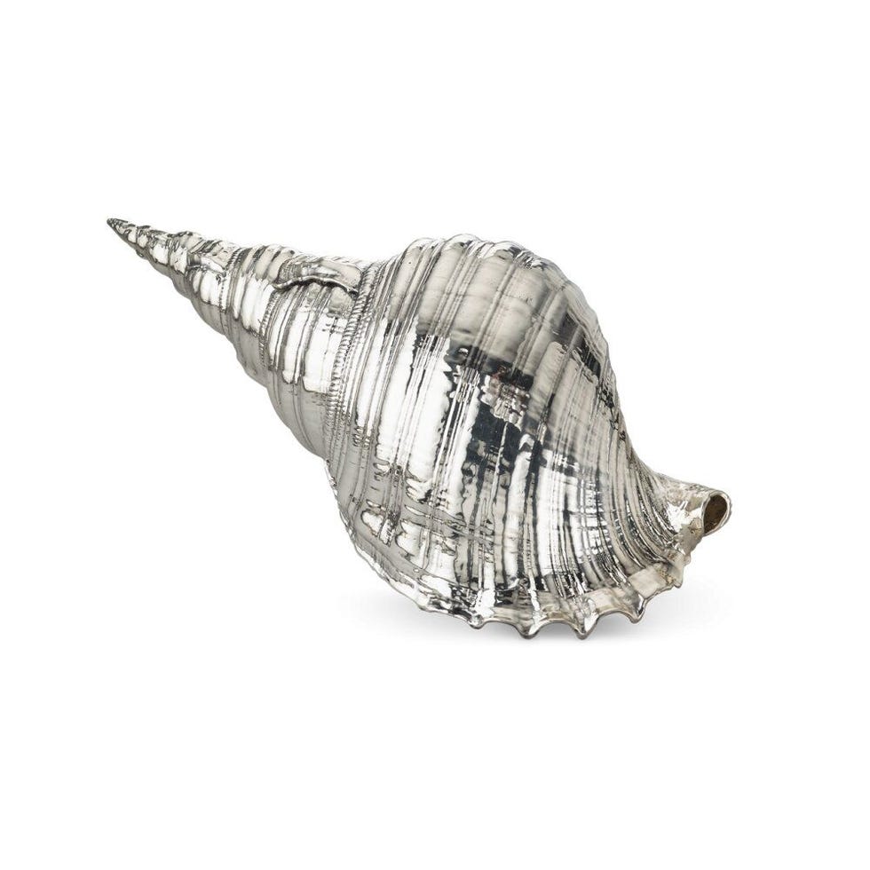 Charonia Tritonis Shell