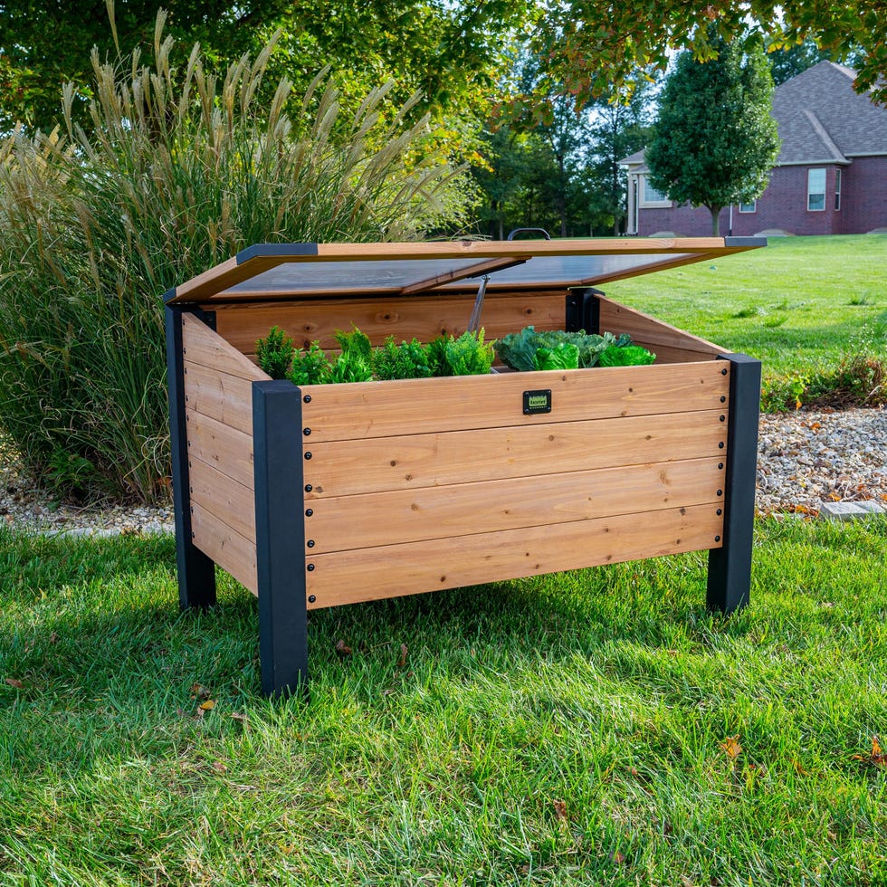 Aggie 4' x 2' Cedar Wood Cold Frame Portable Mini Greenhouse