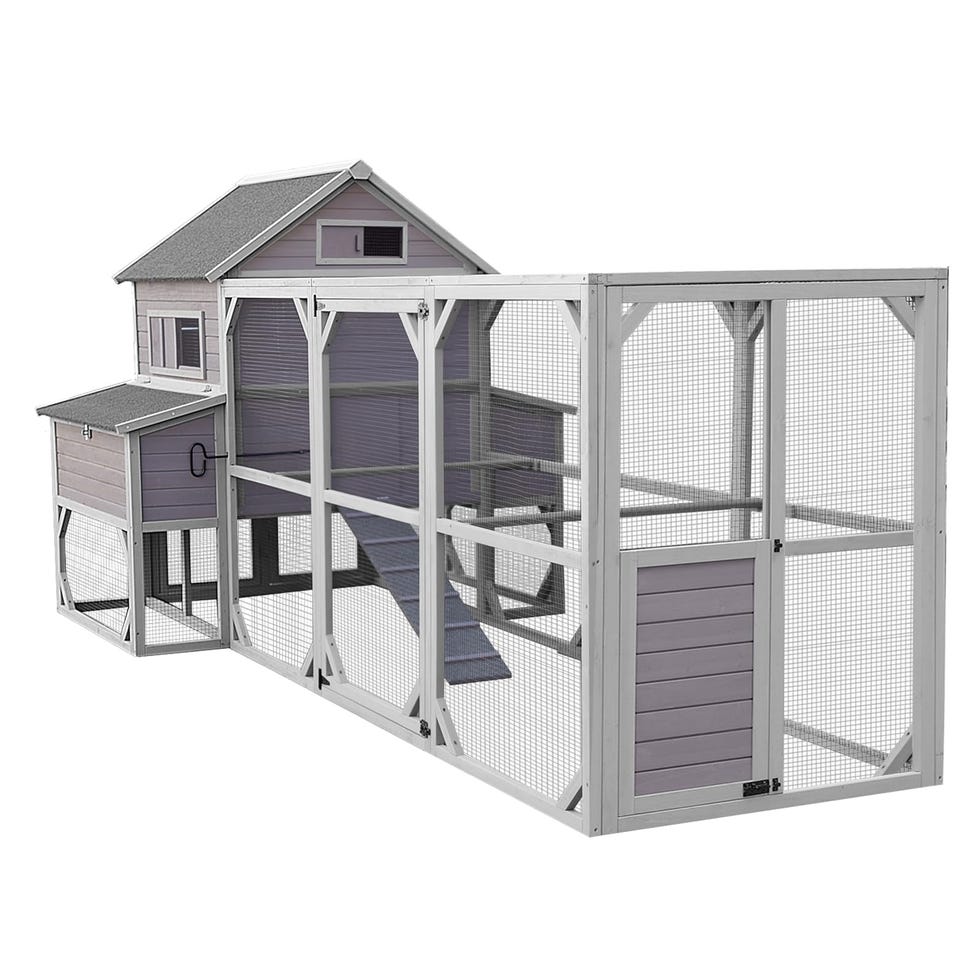 Large Chicken Coop 