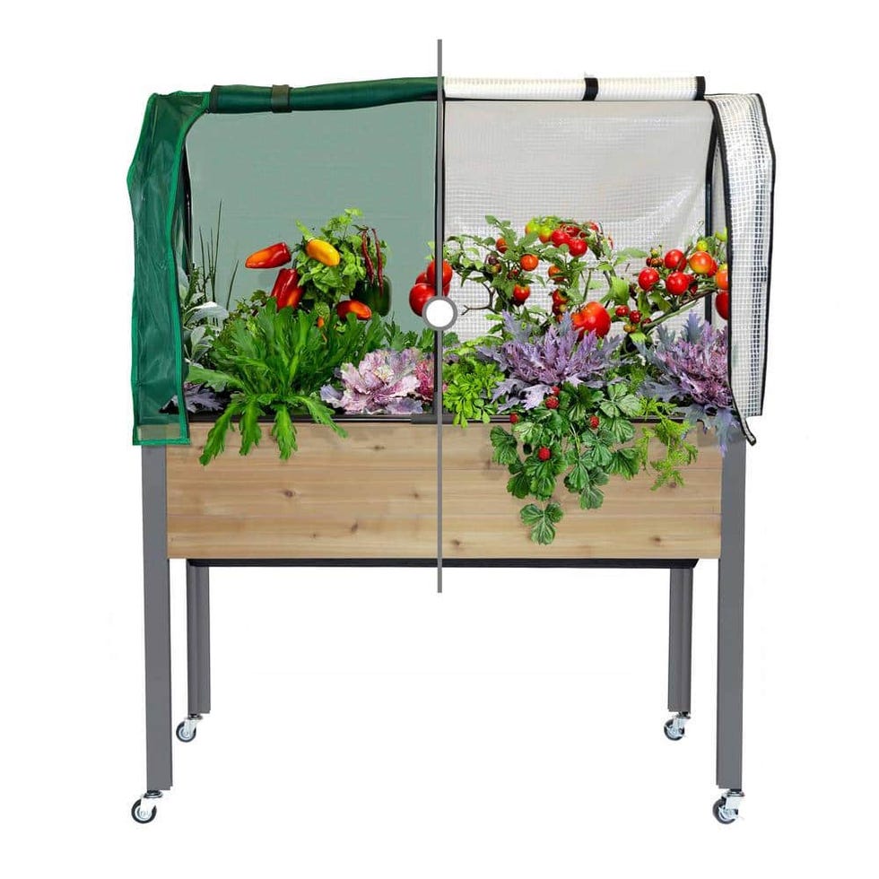 Self-Watering Cedar Planter With Greenhouse Cover