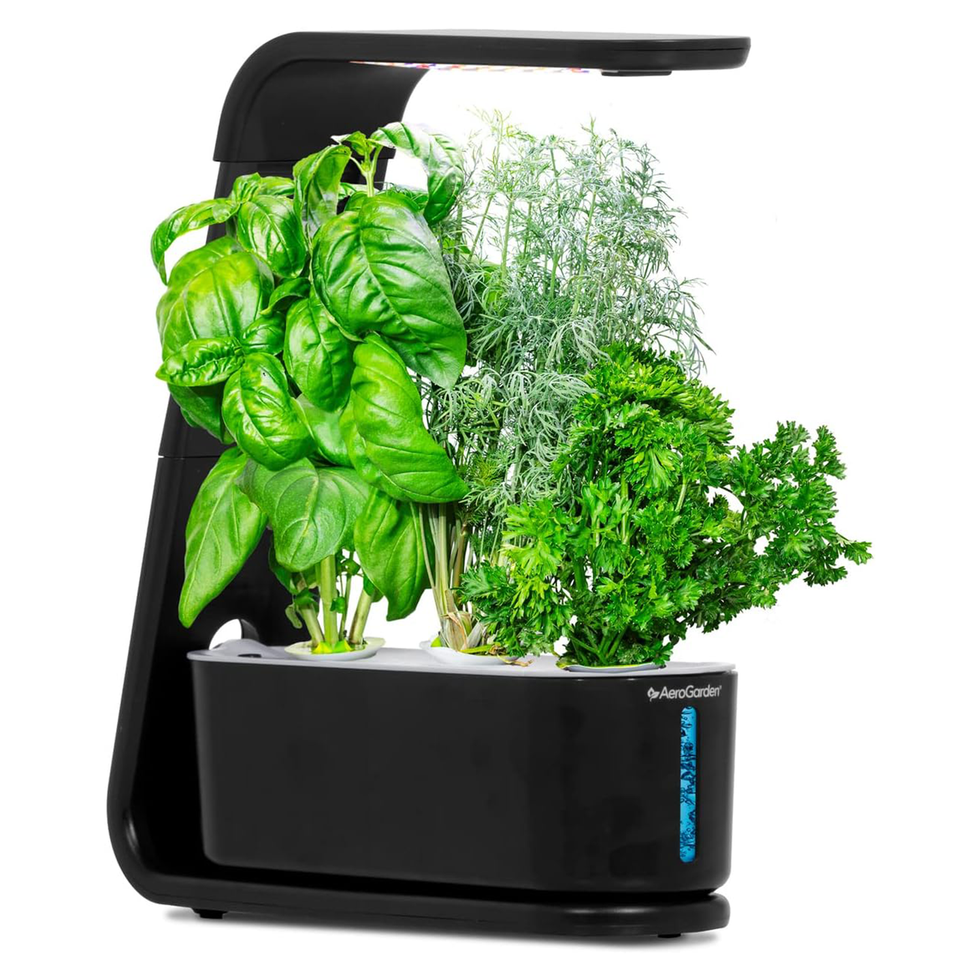 Sprout Indoor Garden
