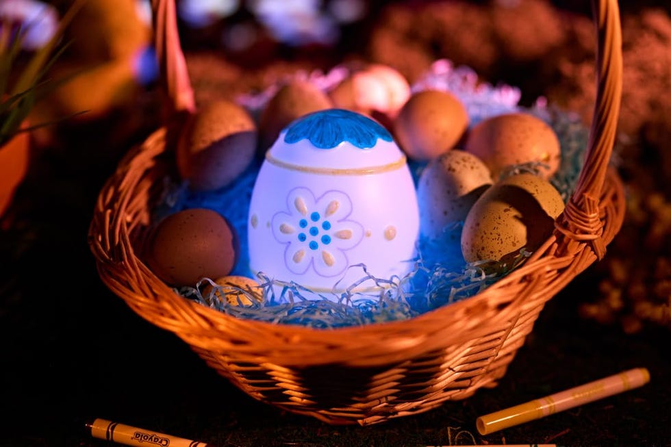 Light-Ups Egg