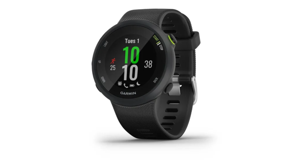 Garmin Forerunner 45S