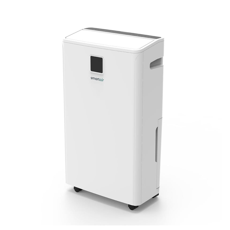 Dry Zone Day Dehumidifier