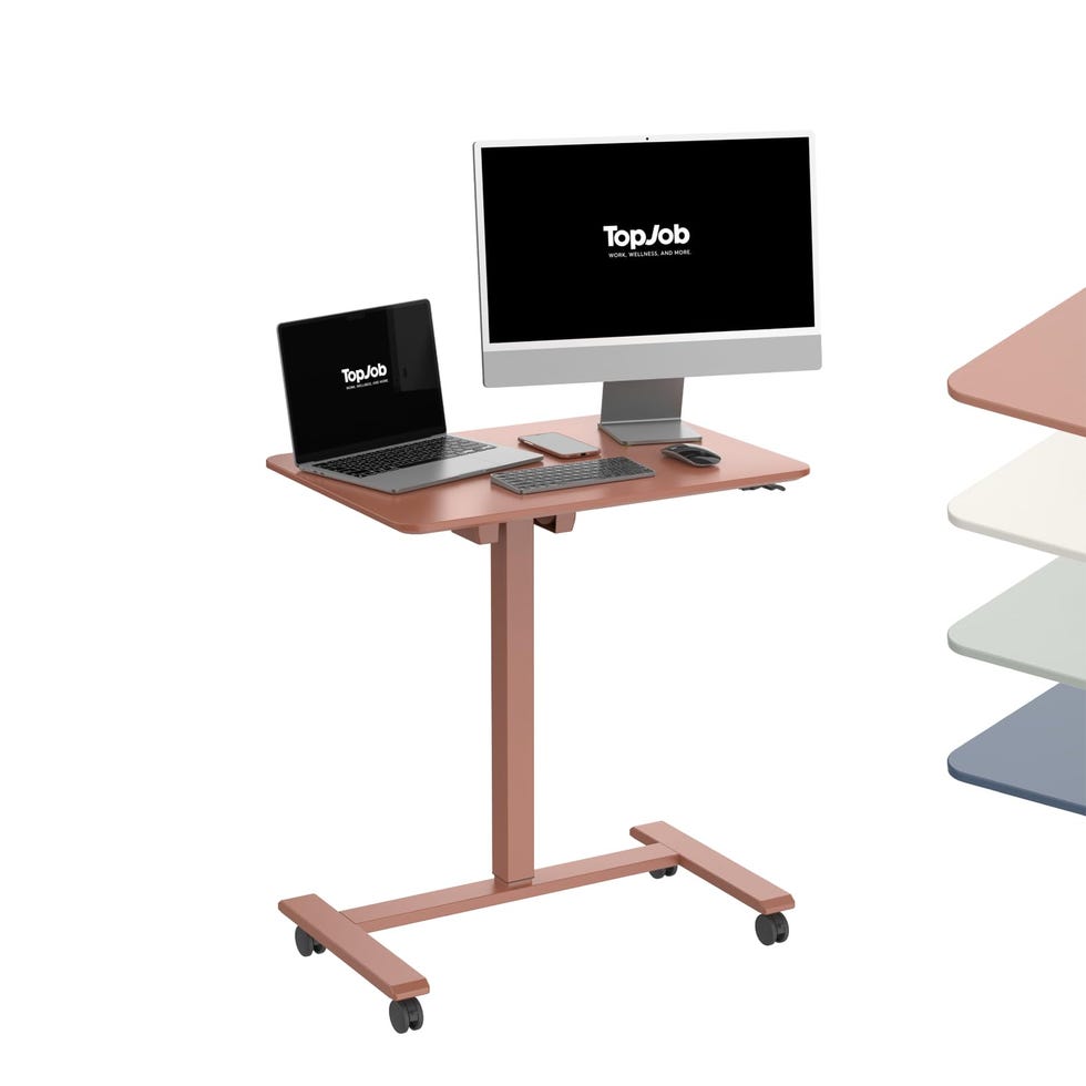 Anydesk Fold