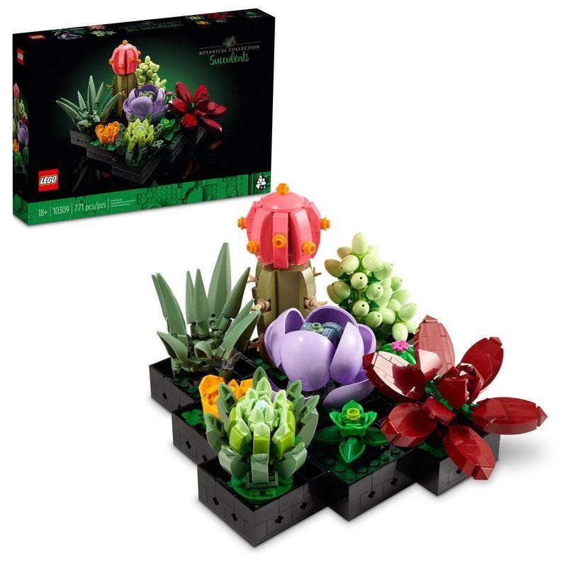 Succulents