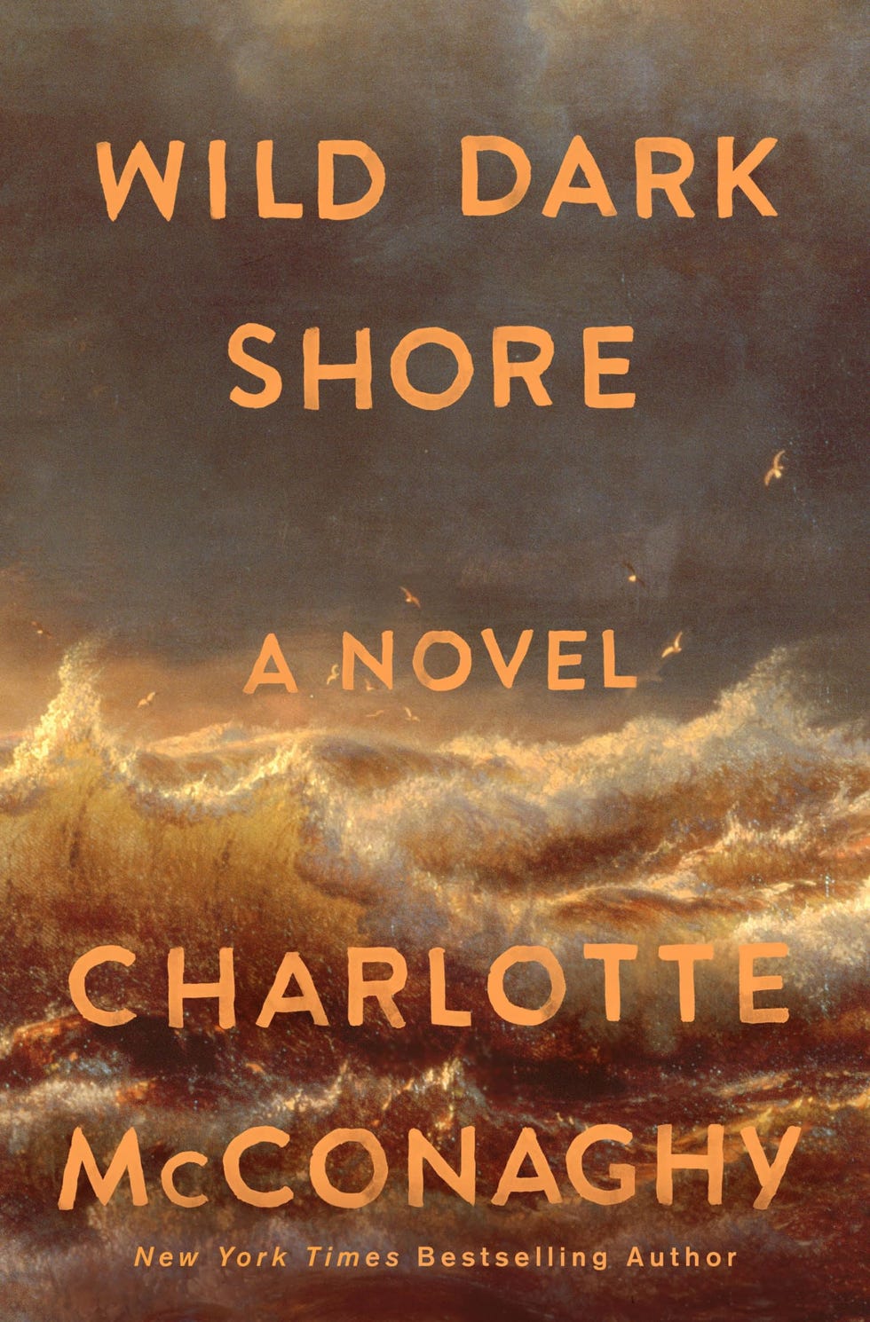 <i>Orilla Oscura Salvaje</i> de Charlotte McConaghy