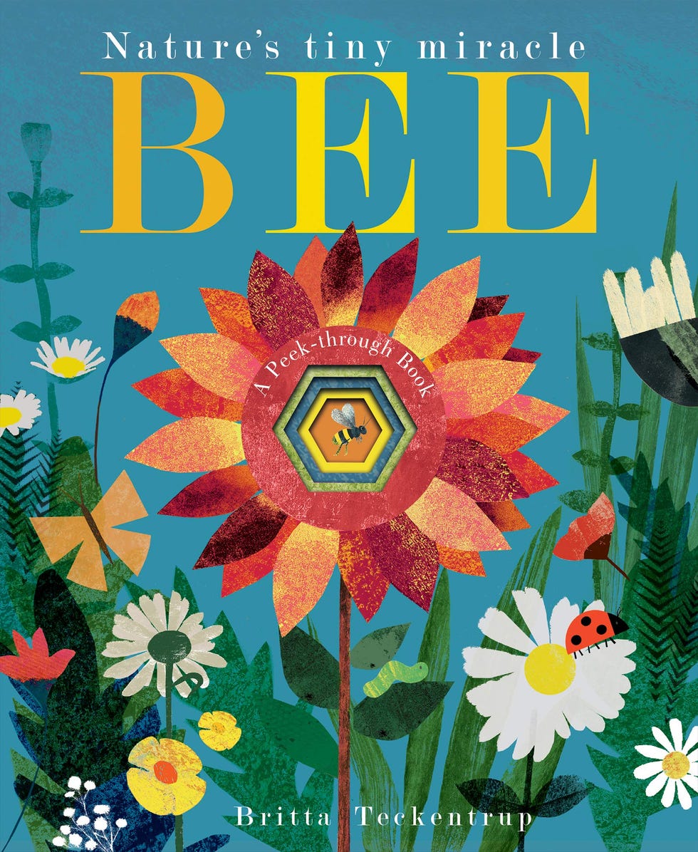 Bee: Nature's tiny miracle (Peek-through Nature)