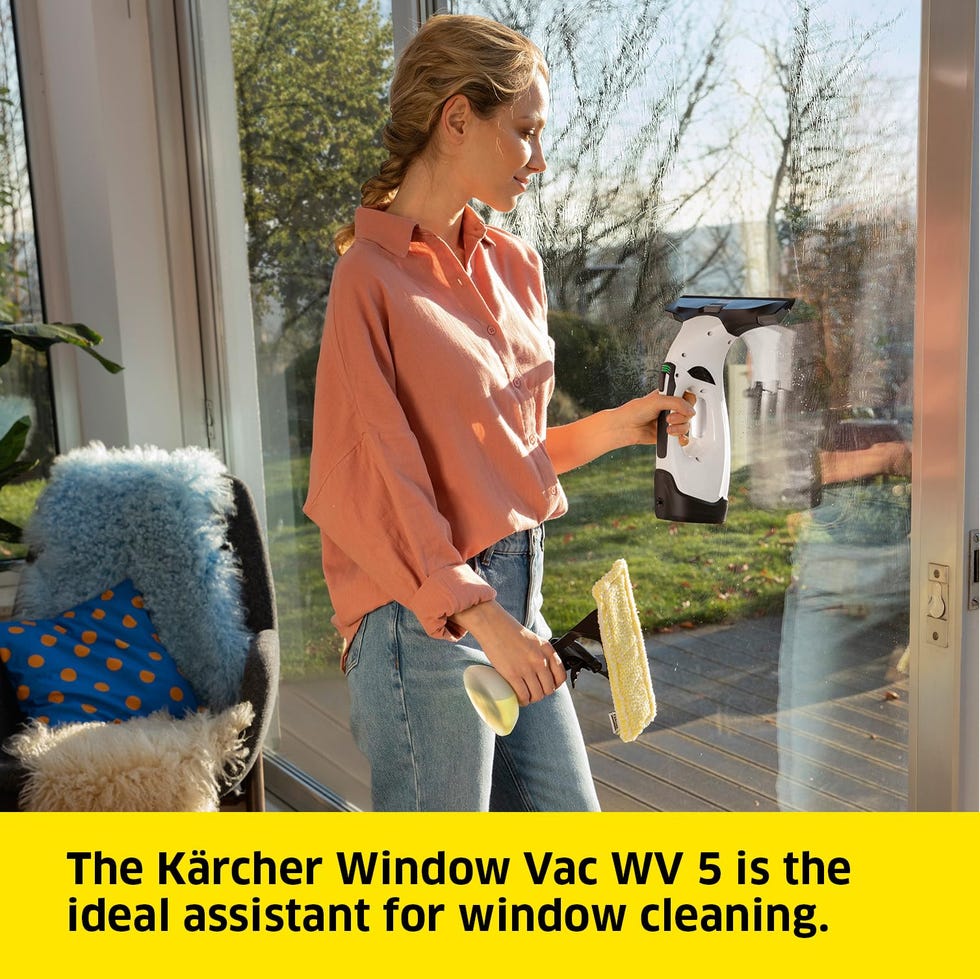 Kärcher Window Vac WV 5 Plus