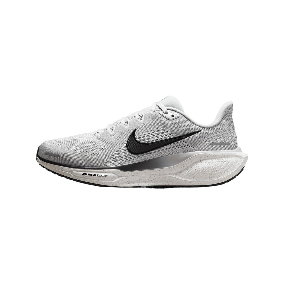 Pegasus 41