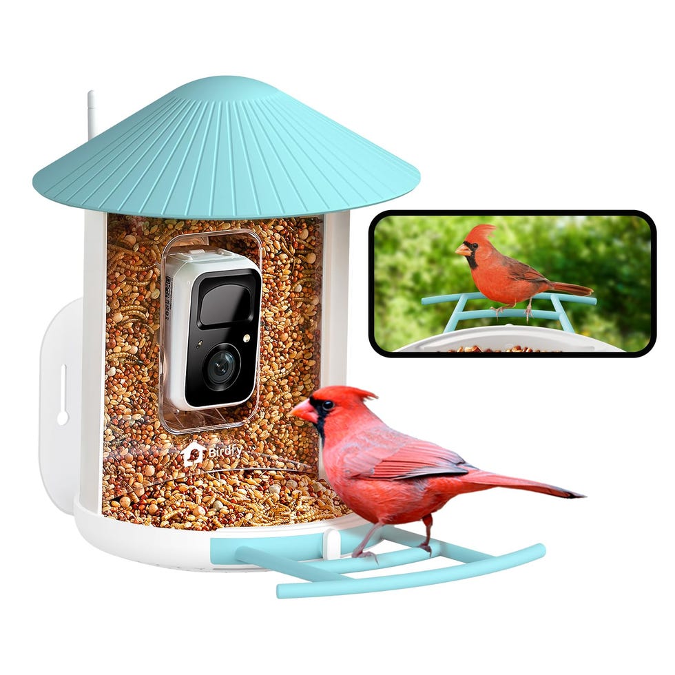Smart Bird Feeder With Camera 5g 5 Smart Bird Feeders on Sale Ahead of Mother's and Father's Day