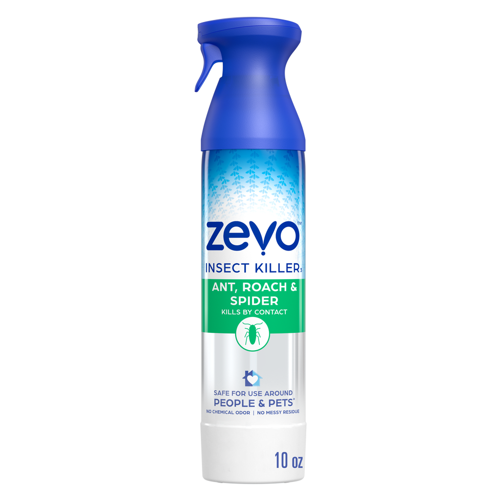 Ant, Roach, Spider Insect Spray