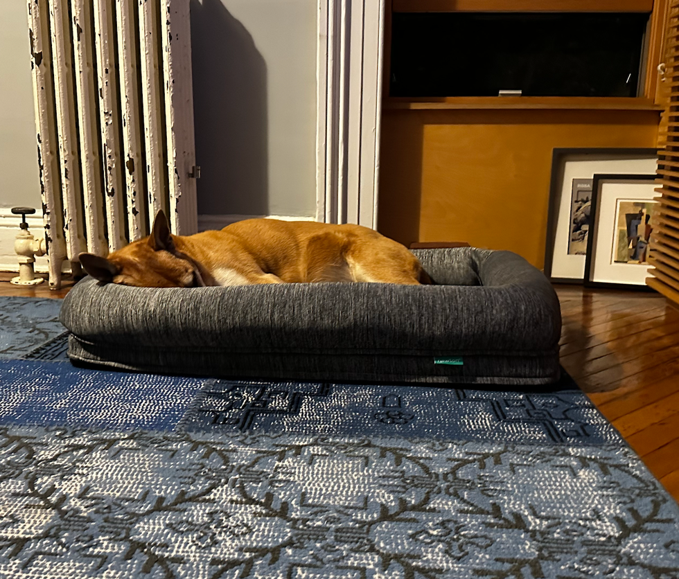 Washable & Orthopedic Pet Bed