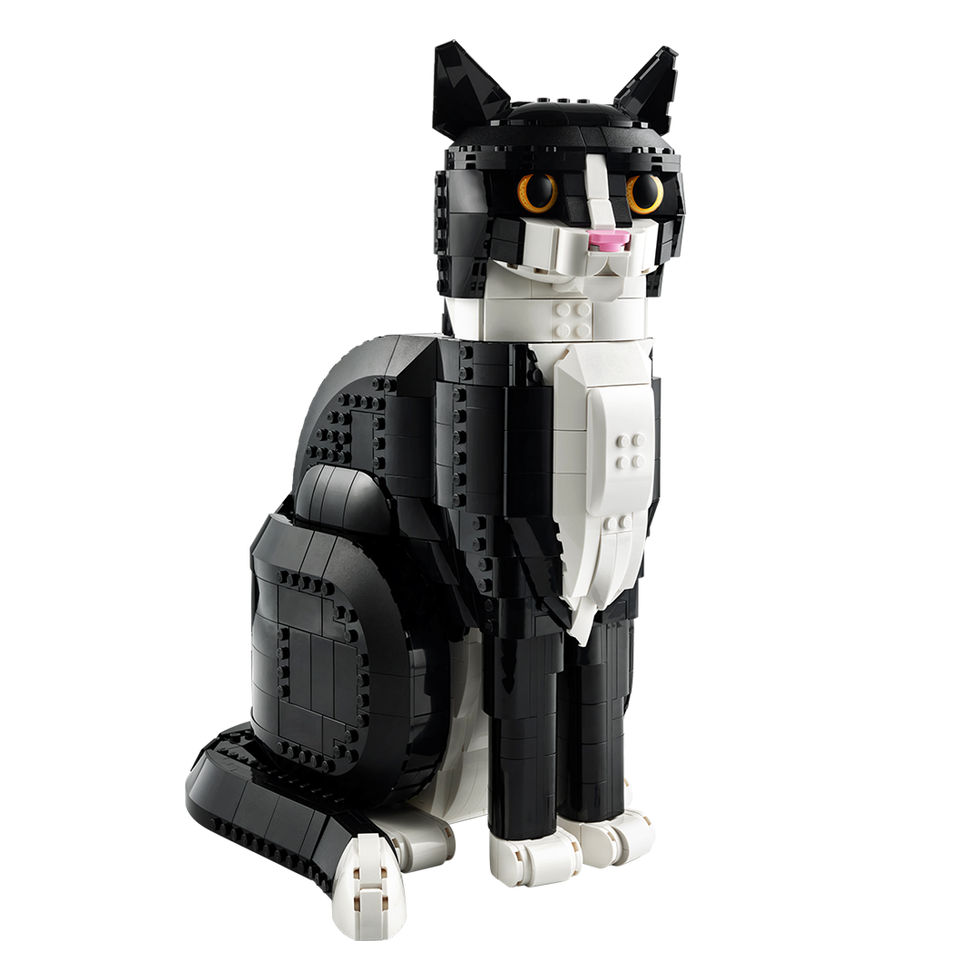 Tuxedo Cat