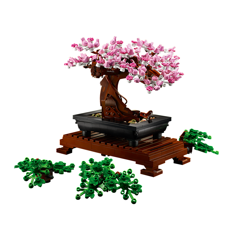 Bonsai Tree